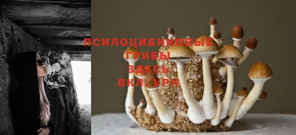 амф Медвежьегорск