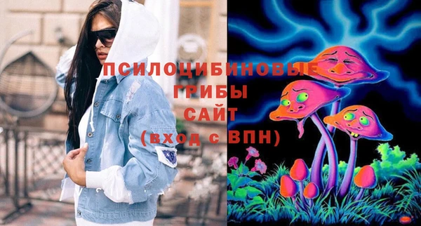 дживик Медногорск