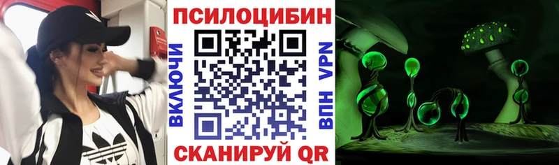 Псилоцибиновые грибы мухоморы Краснознаменск