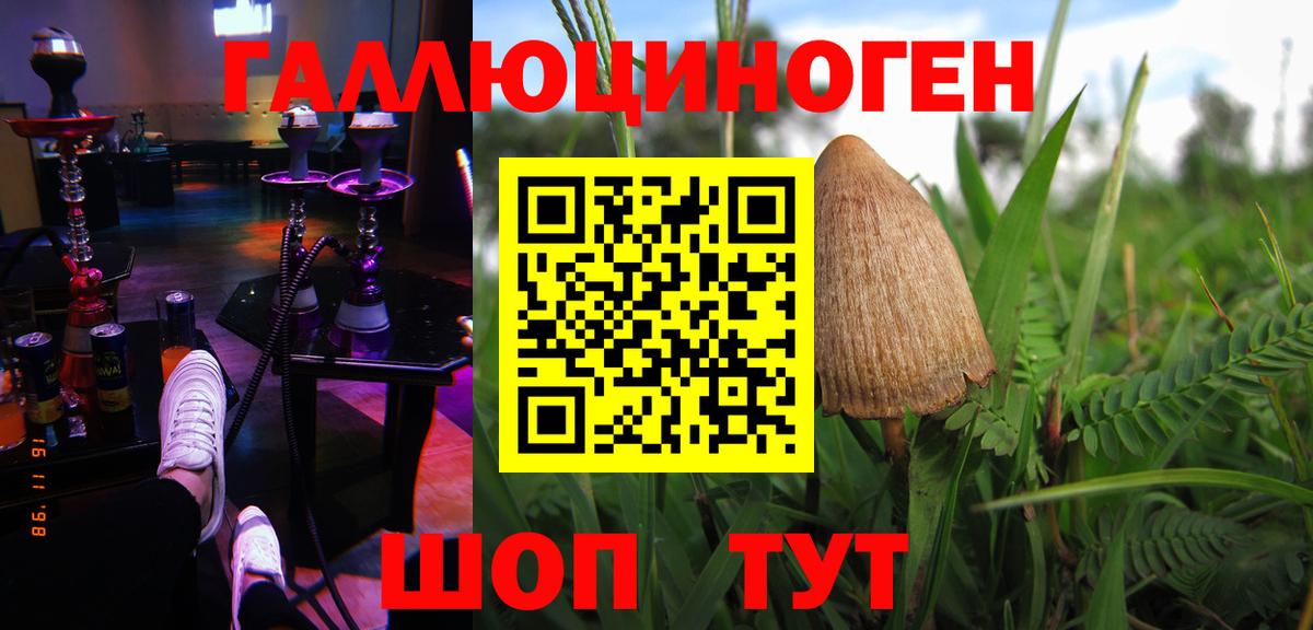 Галлюциногенные грибы Psilocybe Краснознаменск