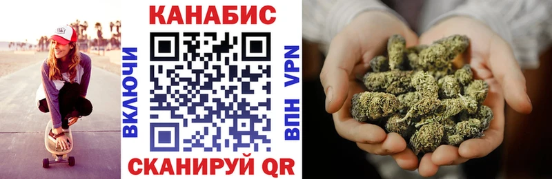 Бошки Шишки SATIVA & INDICA  маркетплейс формула  Краснознаменск  где найти наркотики 